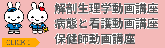 解剖生理学講座/病態と看護講座/保健師動画講座