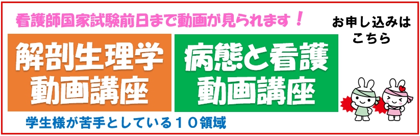 解剖生理学動画講座/病態と看護動画講座